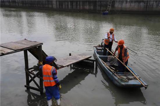 皇冠信用网正网_提升河道颜值皇冠信用网正网!金山这里正进行“清网行动”