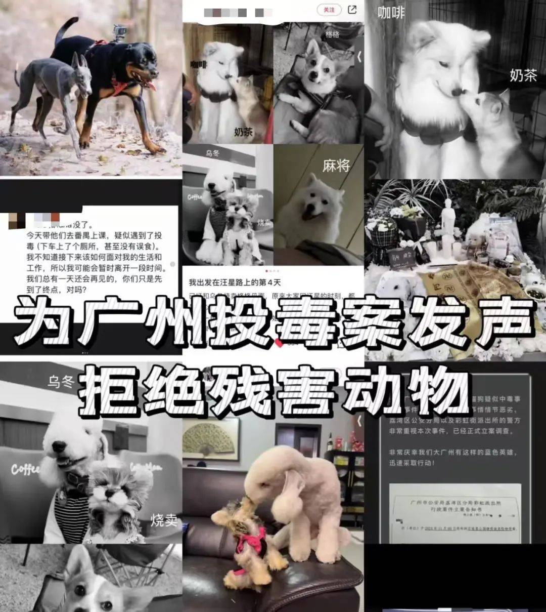 皇冠信用網怎么开账号_“死亡数据仍在上升”皇冠信用網怎么开账号!广州警方介入