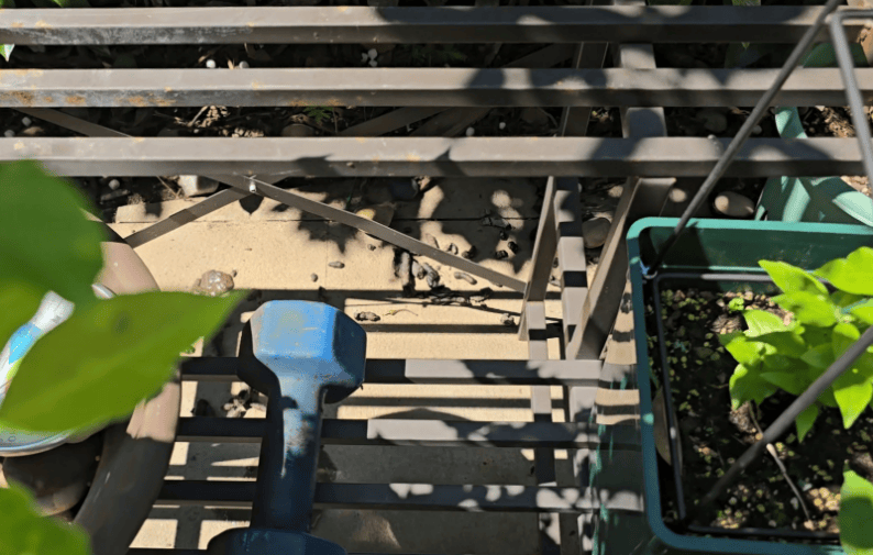 皇冠信用网在线申请_上海一小区居民苦恼新邻居:突然搬来让人提心吊胆皇冠信用网在线申请!不能抓不能打