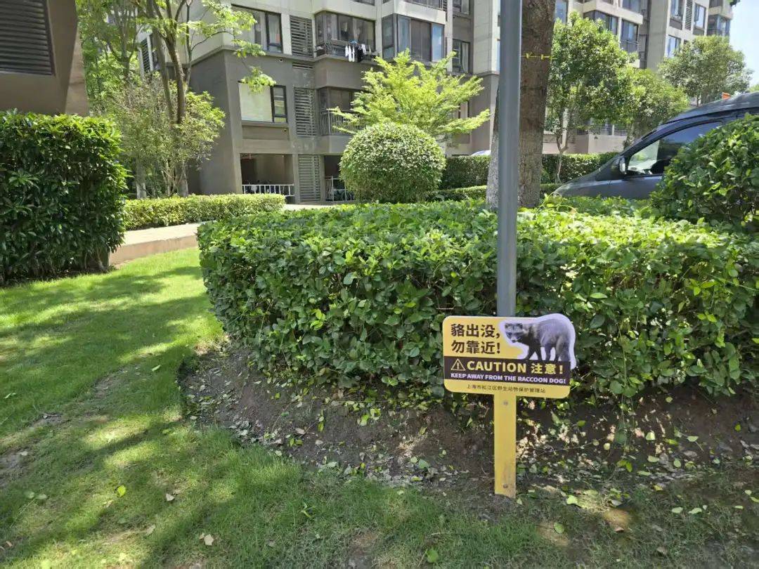 皇冠信用网在线申请_上海一小区居民苦恼新邻居:突然搬来让人提心吊胆皇冠信用网在线申请!不能抓不能打