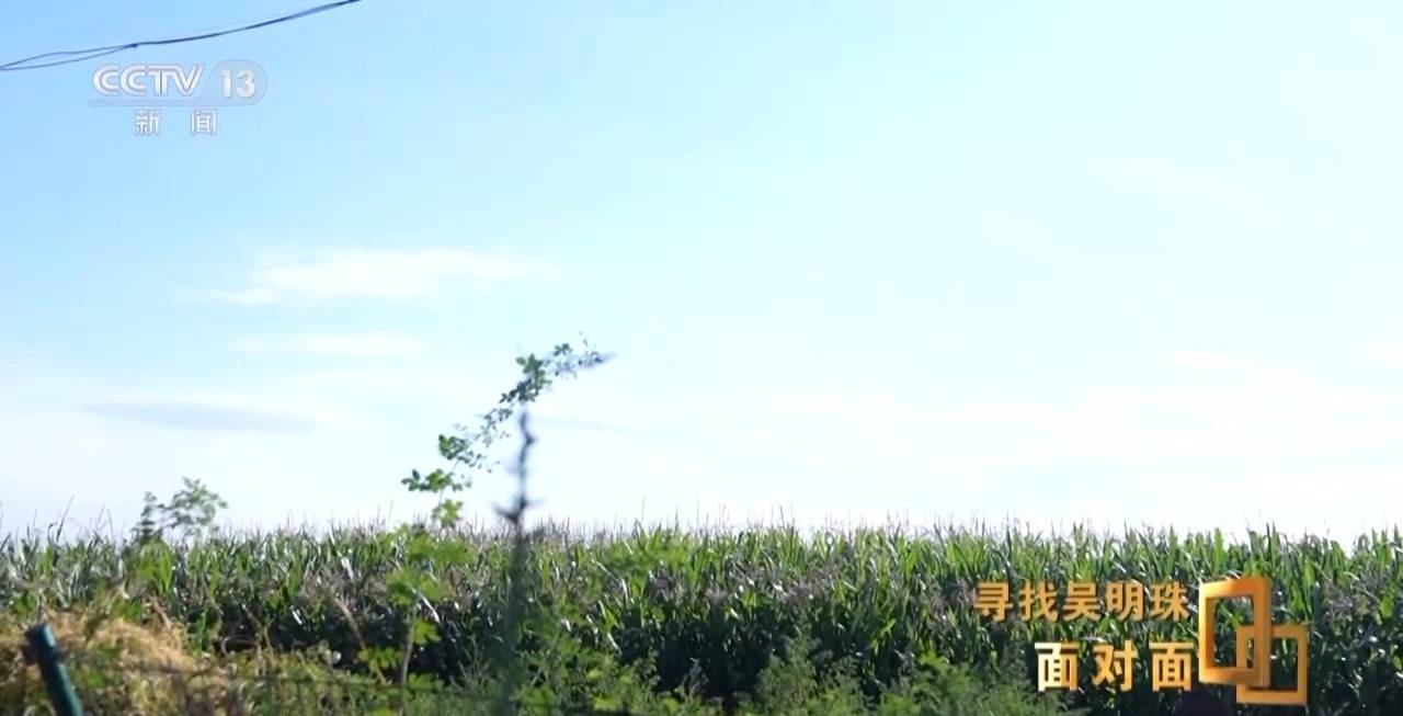 皇冠信用网出租足球
_面对面丨中国人的吃瓜自由要感谢她皇冠信用网出租足球
！吴明珠说她的一生就是结几个好瓜献给人民