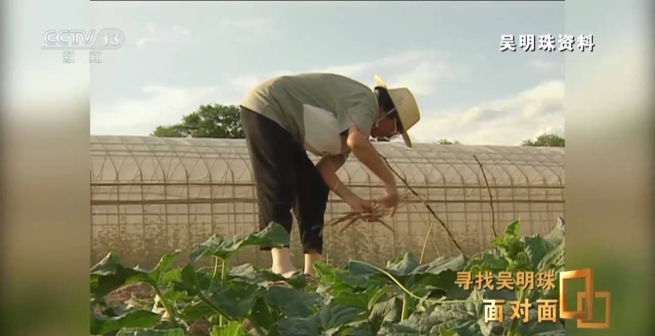 皇冠信用网出租足球
_面对面丨中国人的吃瓜自由要感谢她皇冠信用网出租足球
！吴明珠说她的一生就是结几个好瓜献给人民