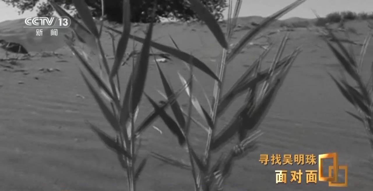 皇冠信用网出租足球
_面对面丨中国人的吃瓜自由要感谢她皇冠信用网出租足球
！吴明珠说她的一生就是结几个好瓜献给人民