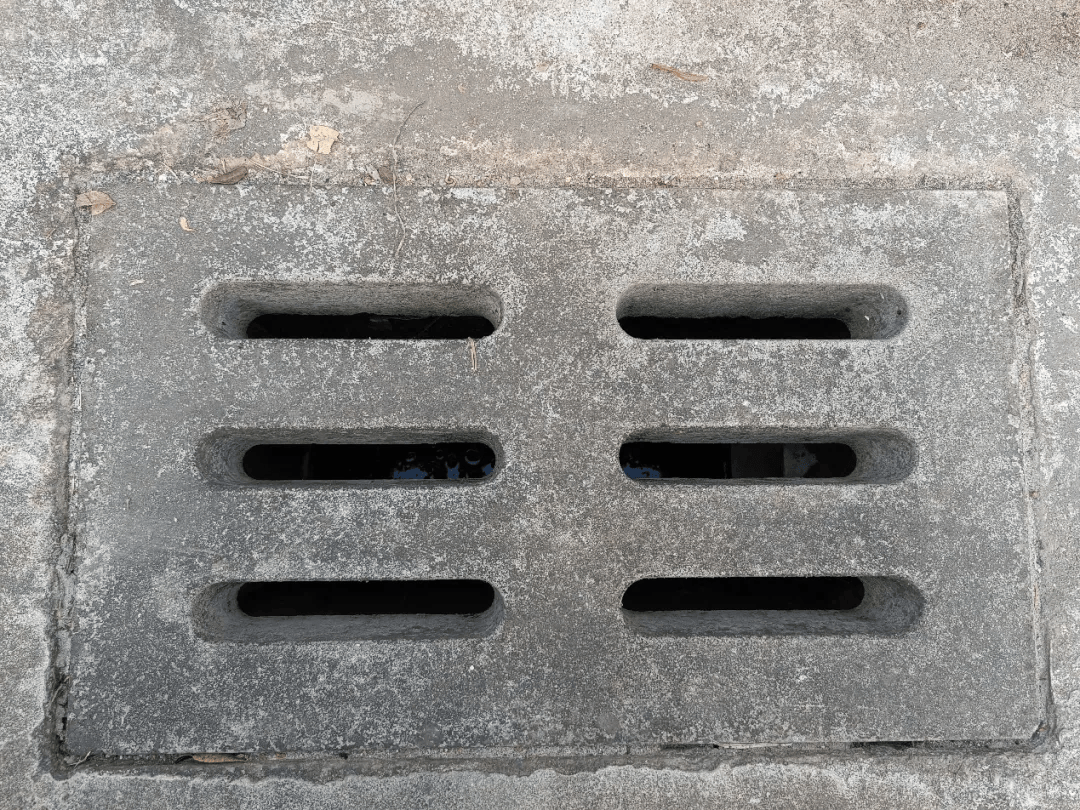 皇冠信用网账号注册
_家里的这几个地方皇冠信用网账号注册
，正悄悄“养”出花斑蚊！快自查→