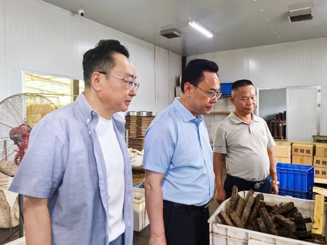 皇冠信用網登2_中国工程院院士刘仲华调研理想华莱皇冠信用網登2,共谋黑茶产业高质量发展新篇章